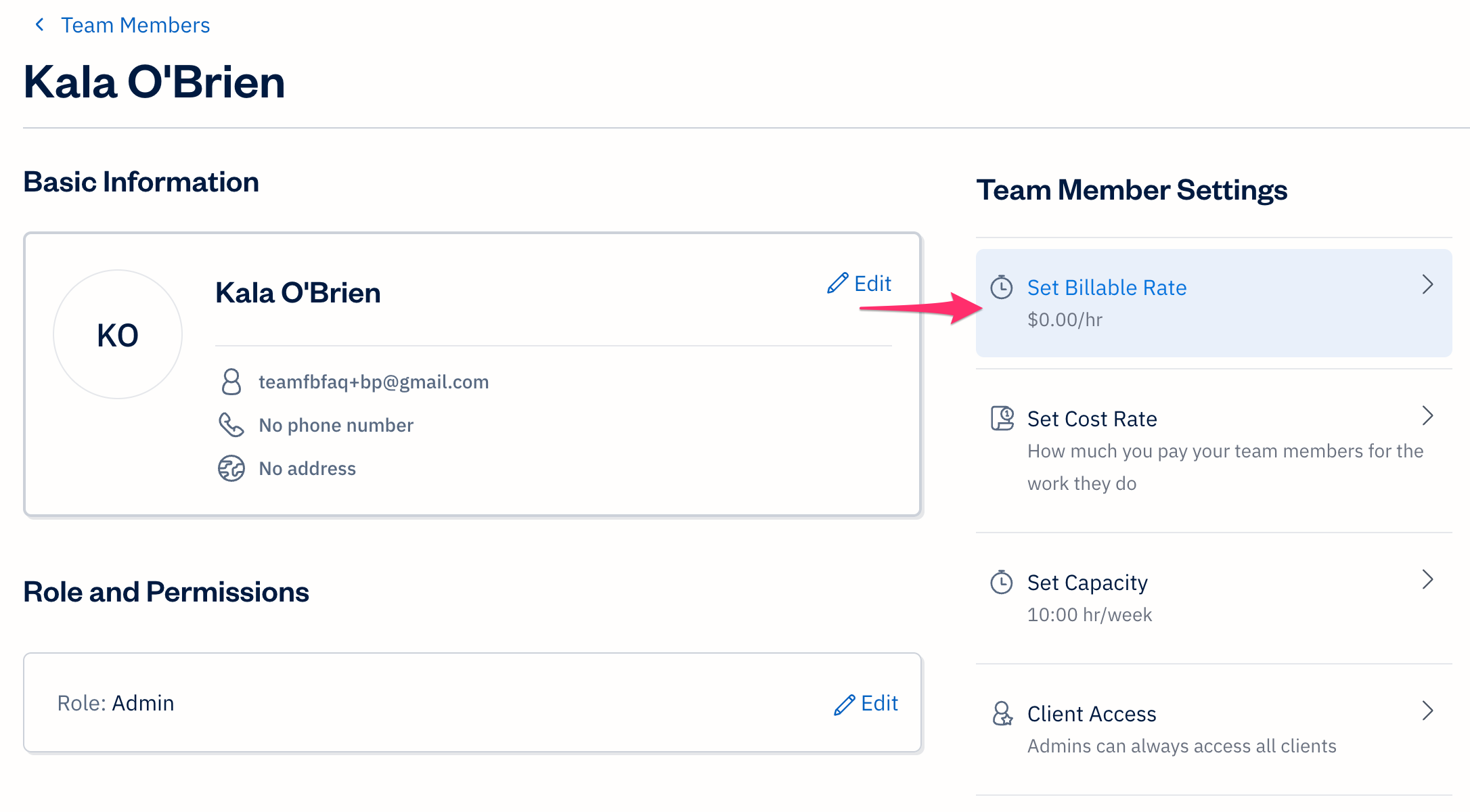 Team member profile with set billable rates selected.