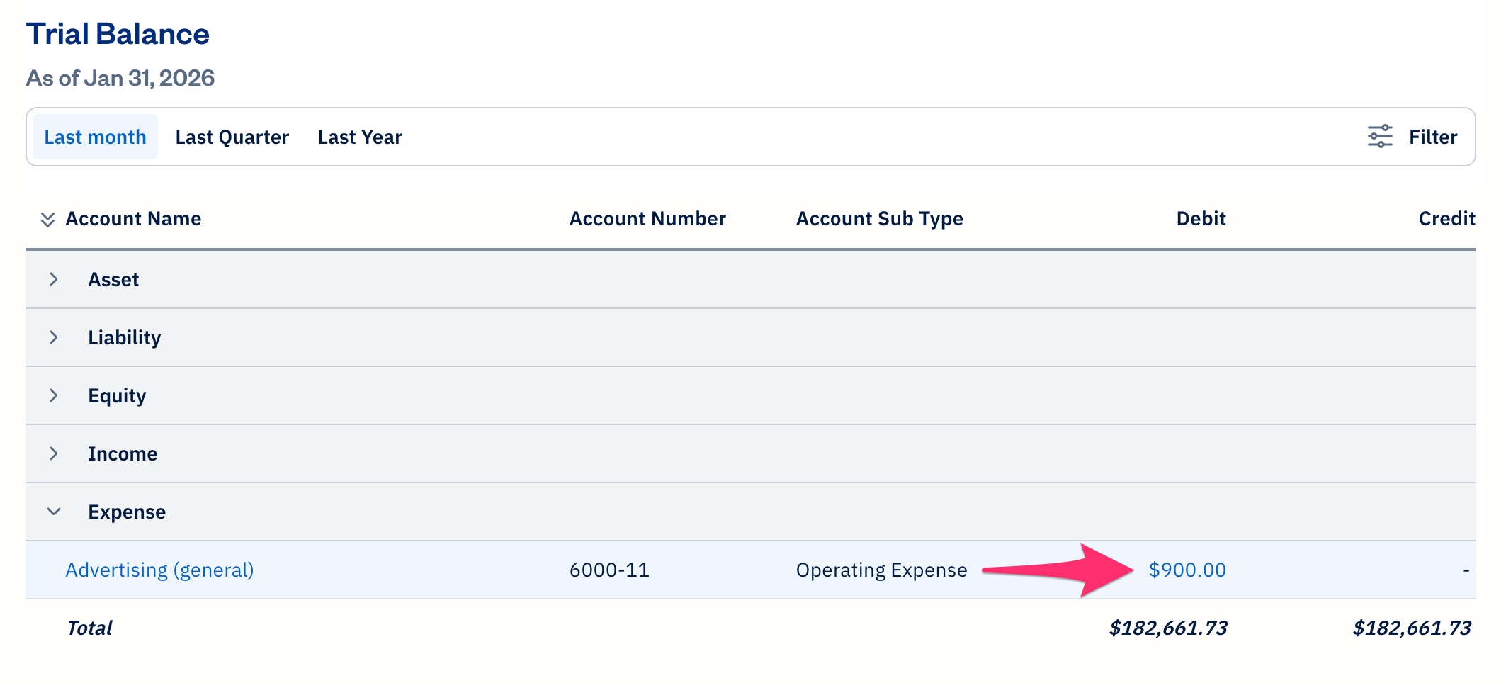 Trial balance report with advertising account selected.