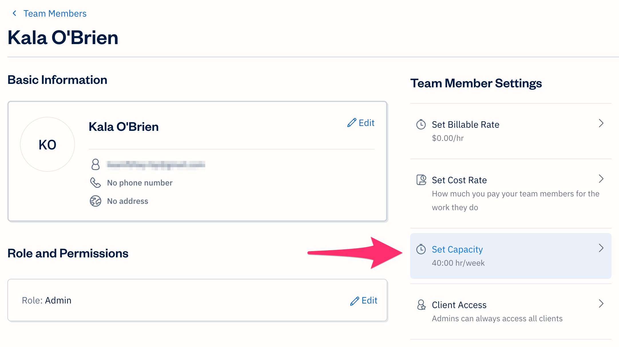 Team Member profile with capacity setting selected.