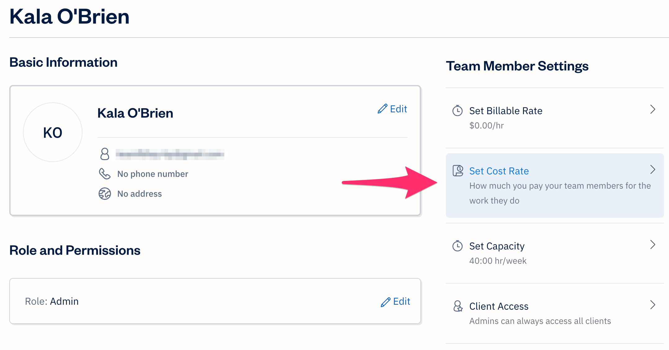 Team Member profile with cost rate setting selected.
